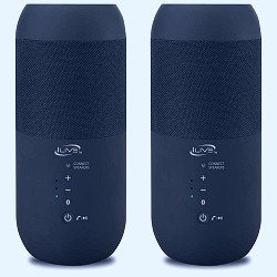 iLive Indoor Outdoor IPX6 Waterproof Bluetooth Wireless Speakers with  Removable Stakes in Black (Set of 2) ISBW240BDL - The Home Depot